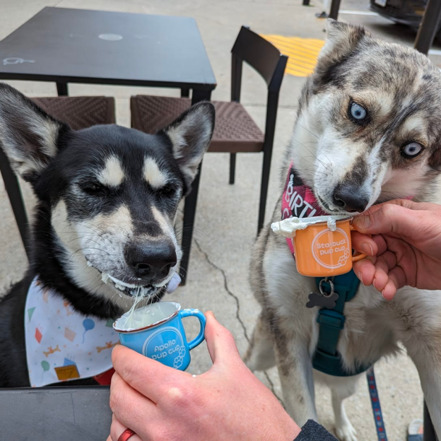 Personalized Pet Reusable Pup Cup Mug  | CWToy16