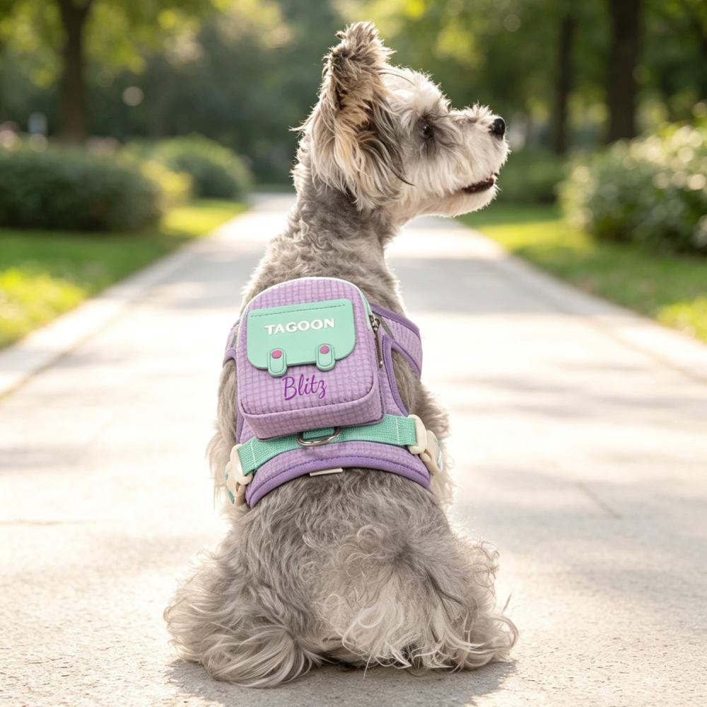 Personalized Cute Mini Backpack Dog Harness | MNAccs113