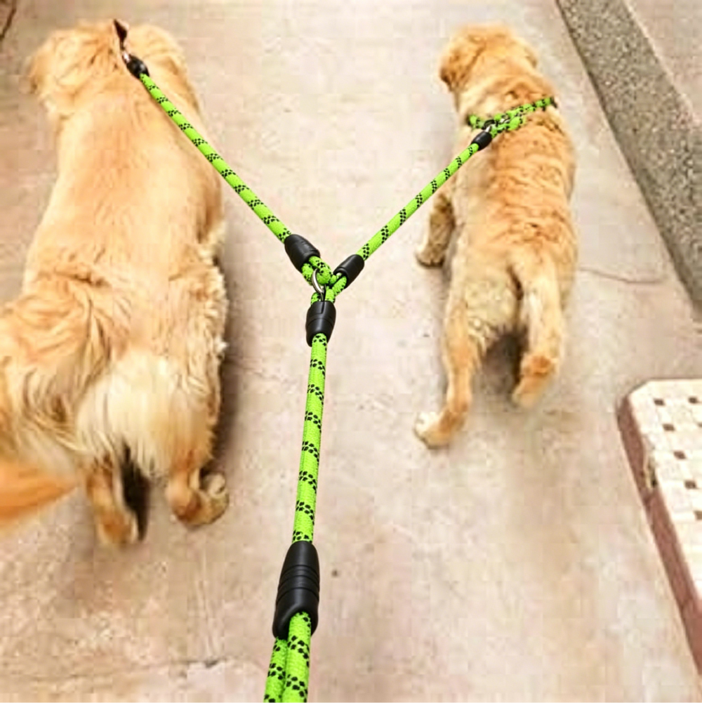 Double Dog Leash Tangle Free for Two Dogs | MNAccs90