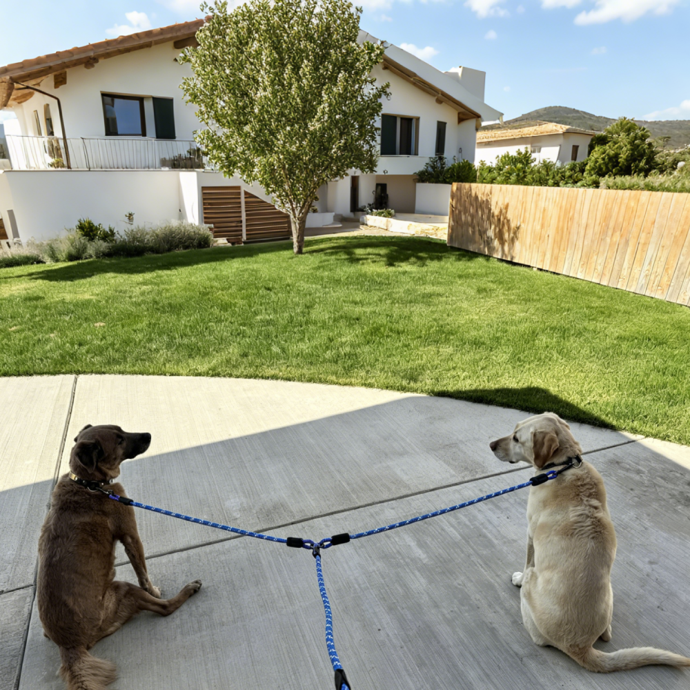 Double Dog Leash Tangle Free for Two Dogs | MNAccs90