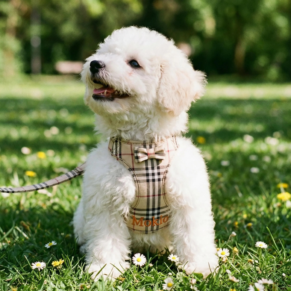 Personalized Embroidered Pet Denim Patchwork Checkered Harness Leash Set | MNAccs91