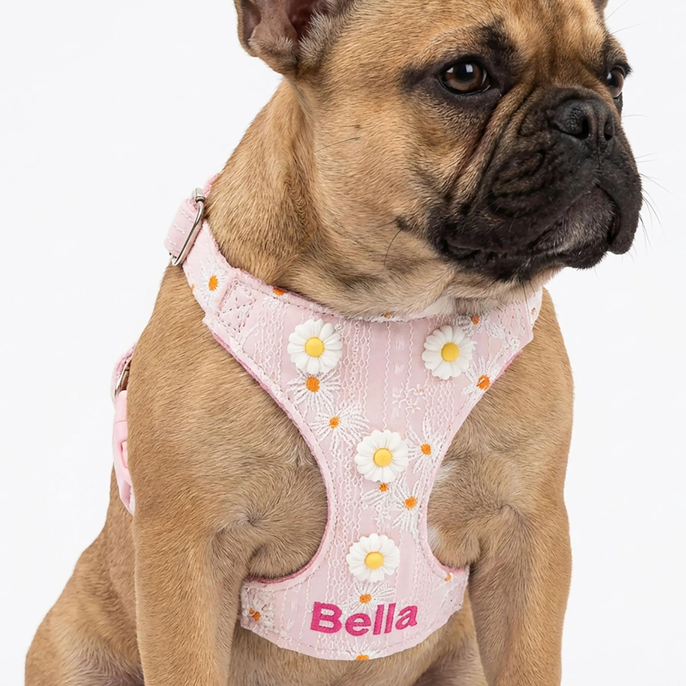 Personalized Embroidered Daisy Puppy Vest & Leash Set | MNAccs92