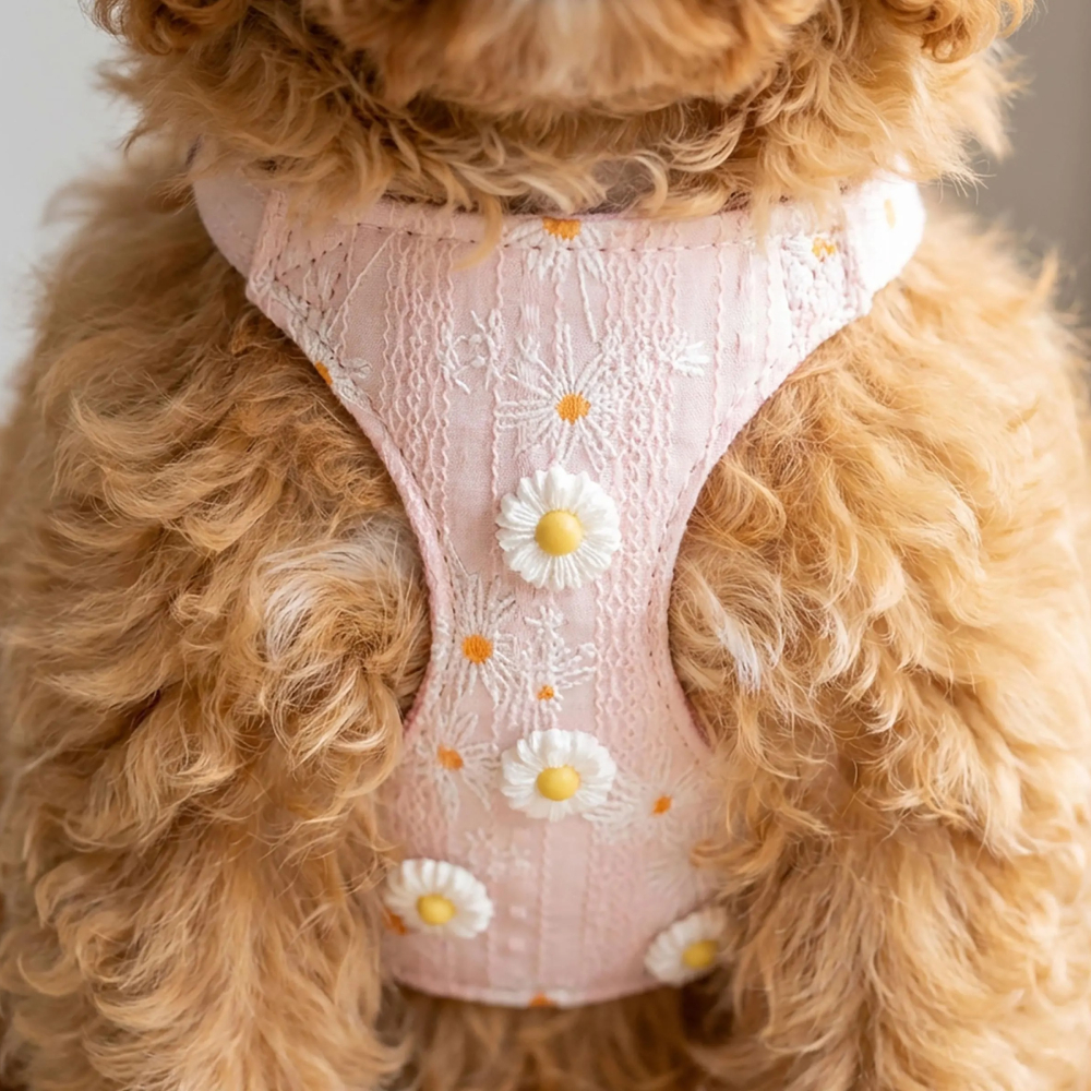 Personalized Embroidered Daisy Puppy Vest & Leash Set | MNAccs92