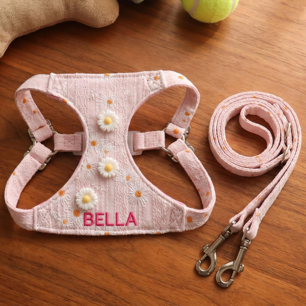 Personalized Embroidered Daisy Puppy Vest & Leash Set | MNAccs92