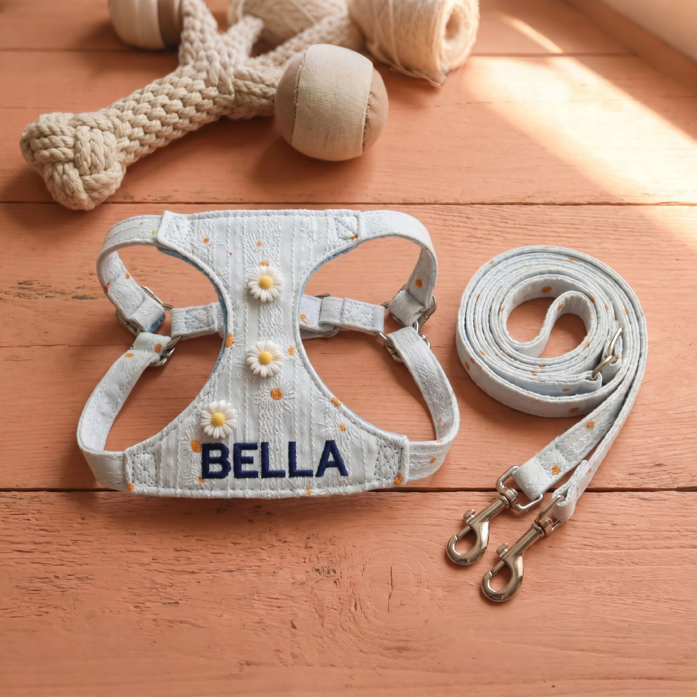 Personalized Embroidered Daisy Puppy Vest & Leash Set | MNAccs92