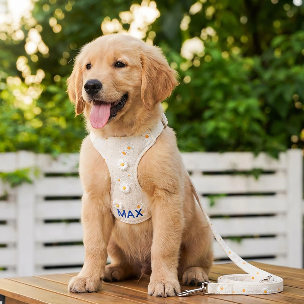 Personalized Embroidered Daisy Puppy Vest & Leash Set | MNAccs92