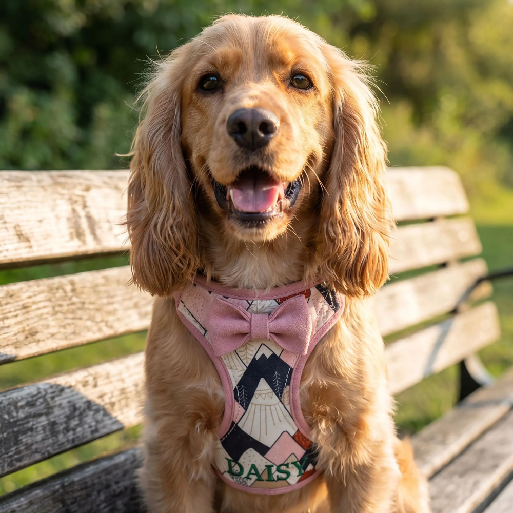 Personalized Embroidered Boho Tribal Print Bow Tie Puppy Vest & Leash Set | MNAccs93