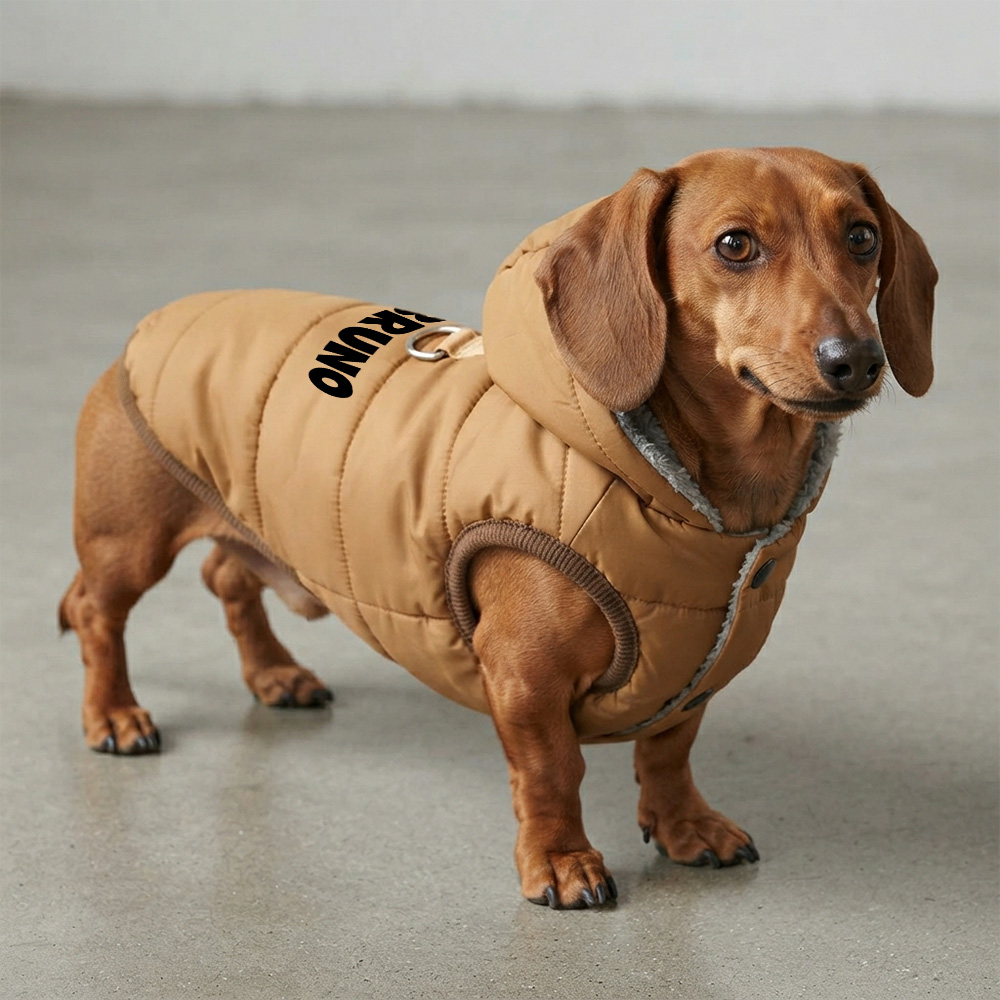 Personalized Pets Winter Thick Warm Jacket | MNCloth270