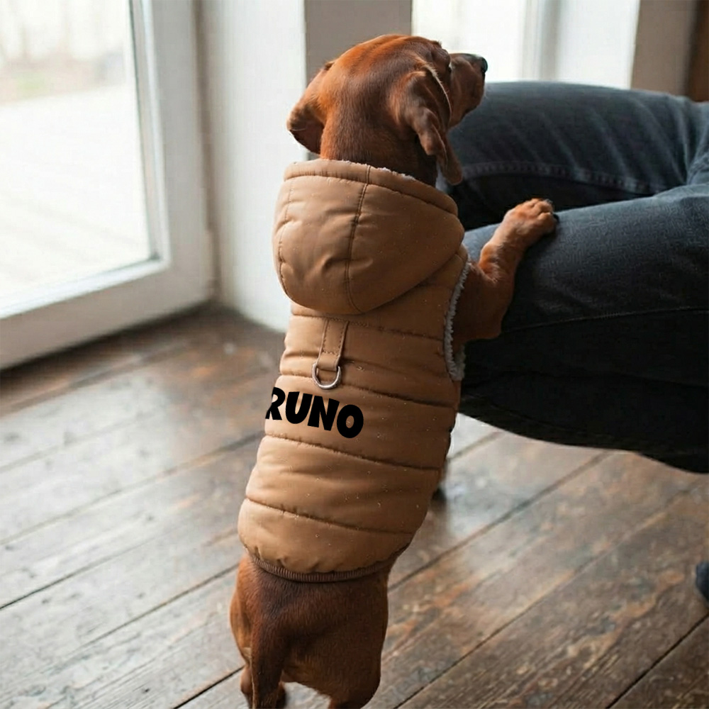 Personalized Pets Winter Thick Warm Jacket | MNCloth270