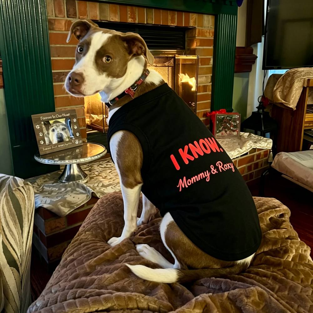 Personalized Matching "I LOVE YOU / I KNOW" Dog & Owner Shirts Sets | MNCloth204