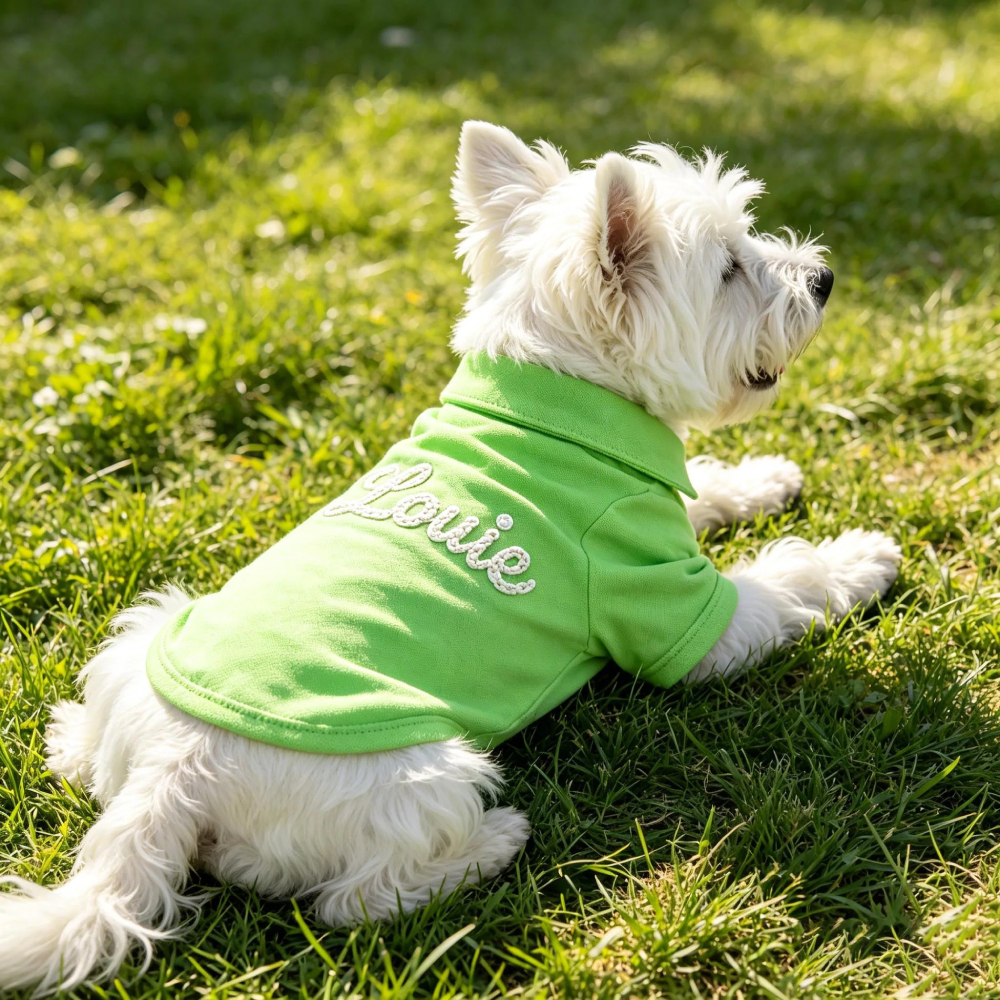 Personalized Embroidered Name Pet Solid Color Polo Shirt | MNCloth209