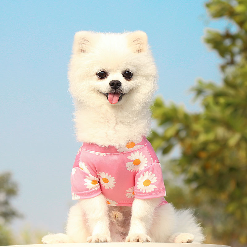 Personalized Daisy Print Soft Cotton Pet Tee | MNCloth233