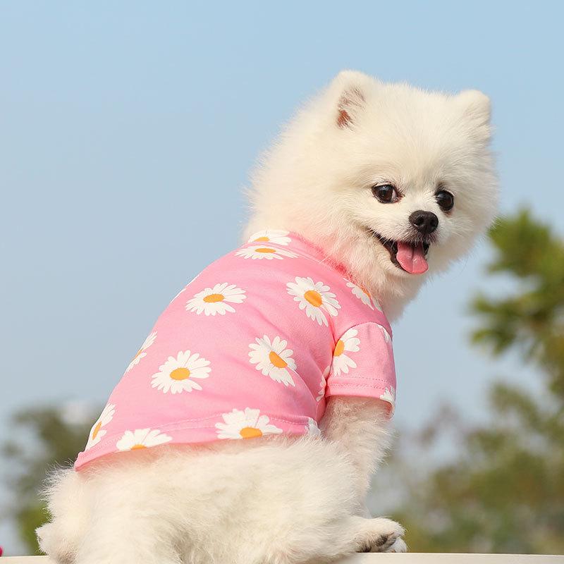 Personalized Daisy Print Soft Cotton Pet Tee | MNCloth233