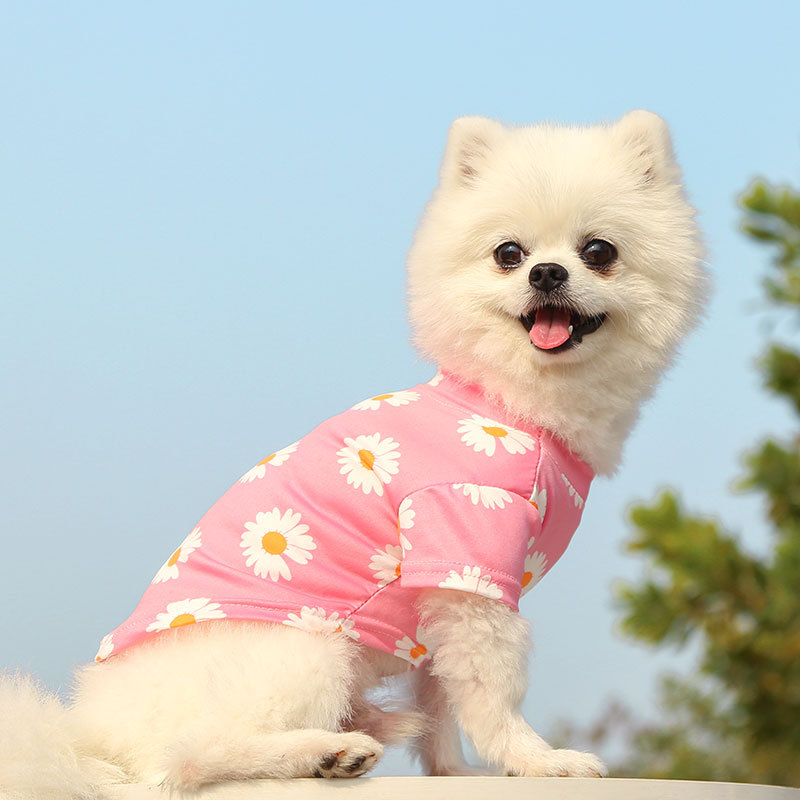 Personalized Daisy Print Soft Cotton Pet Tee | MNCloth233
