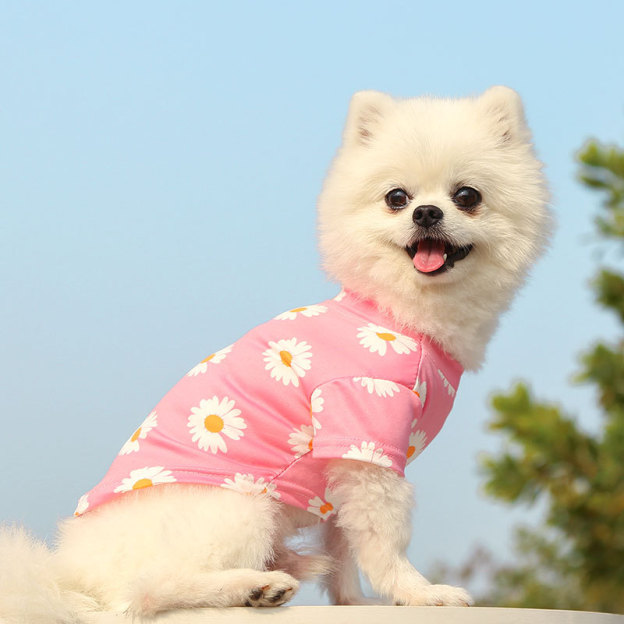 Personalized Daisy Print Soft Cotton Pet Tee | MNCloth233