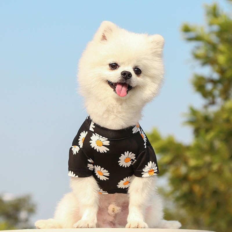 Personalized Daisy Print Soft Cotton Pet Tee | MNCloth233