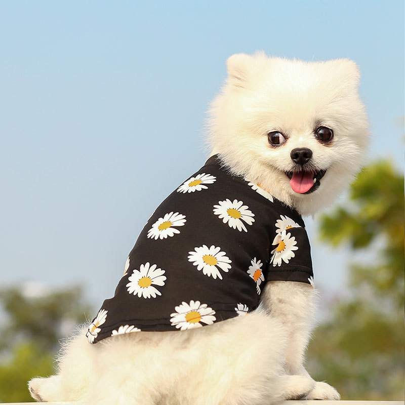 Personalized Daisy Print Soft Cotton Pet Tee | MNCloth233