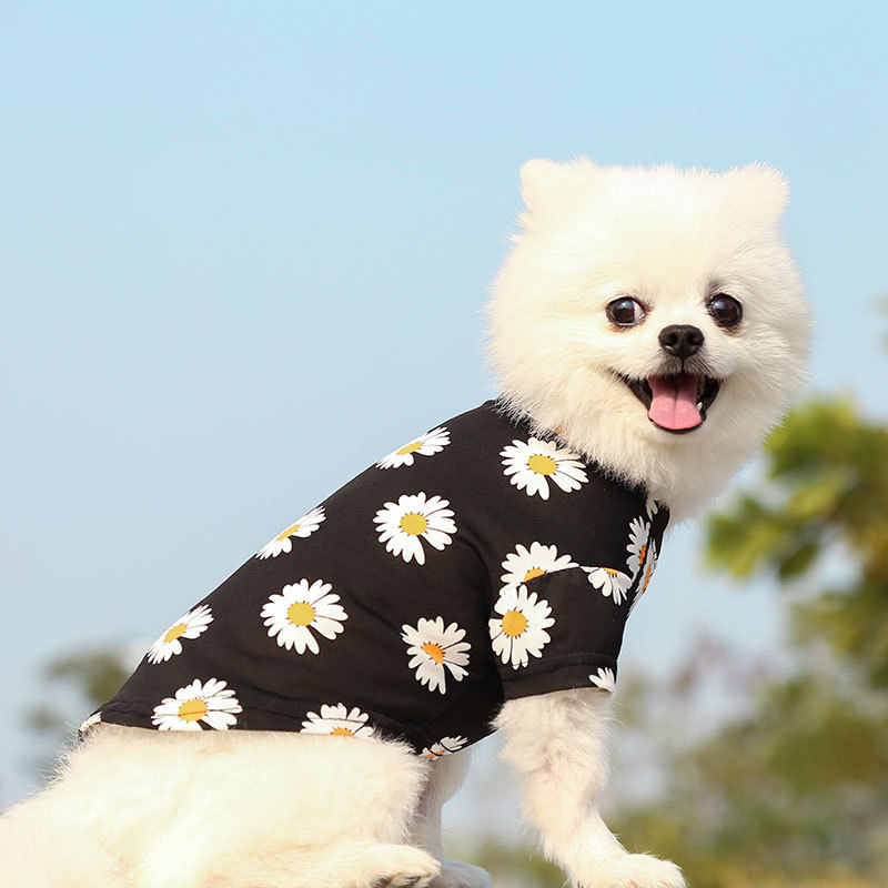 Personalized Daisy Print Soft Cotton Pet Tee | MNCloth233