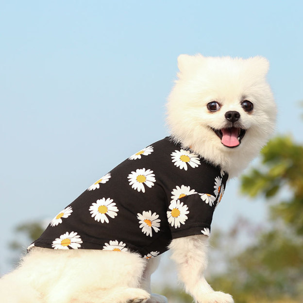 Personalized Daisy Print Soft Cotton Pet Tee | MNCloth233