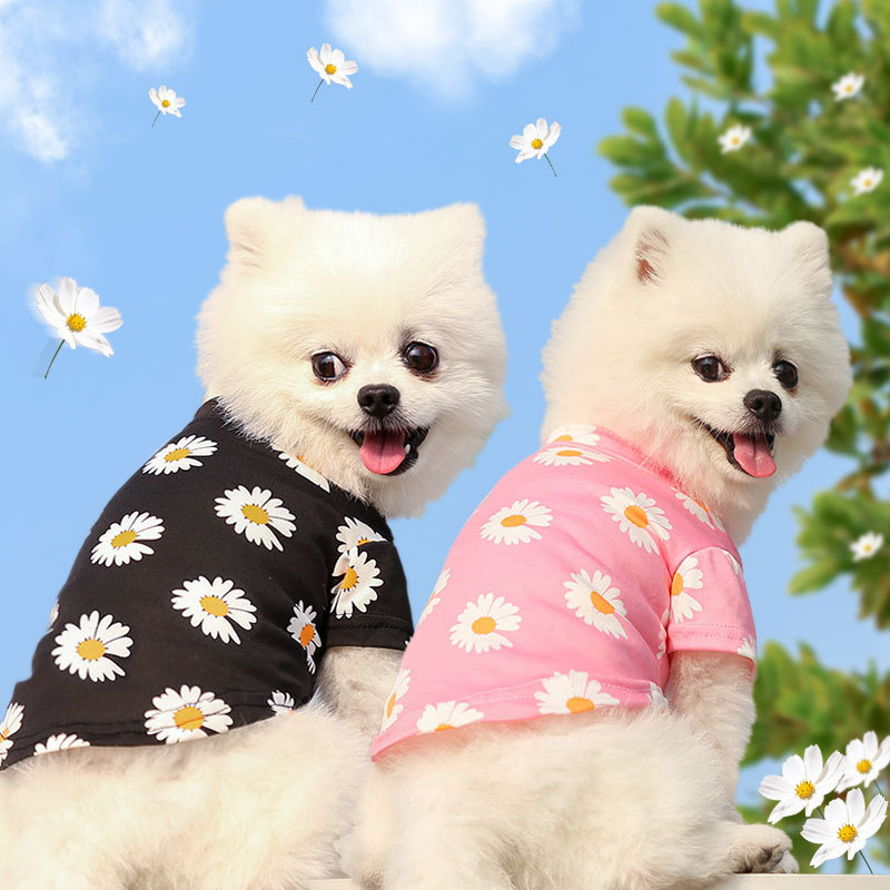 Personalized Daisy Print Soft Cotton Pet Tee | MNCloth233