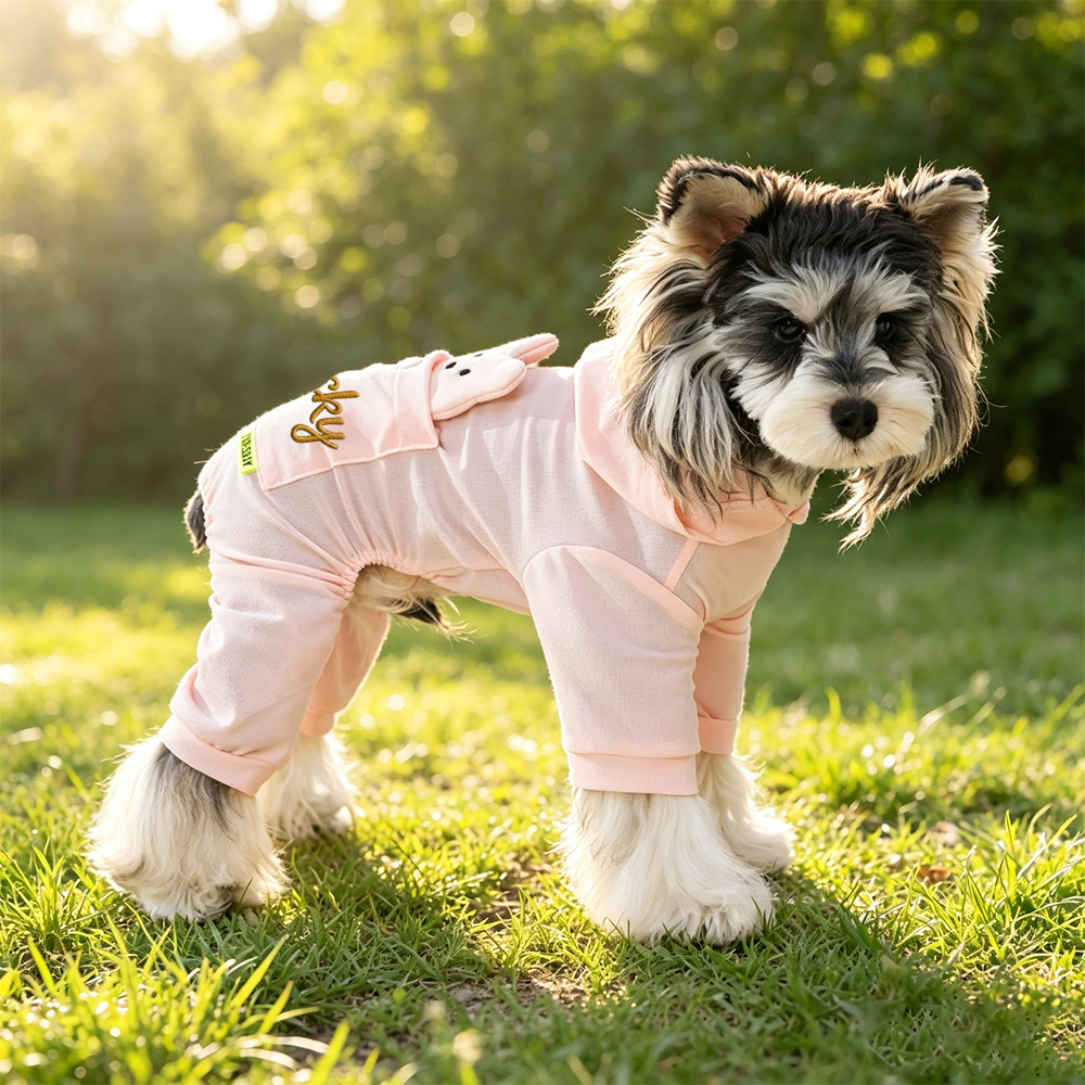 Personalized Embroidered Bear Pocket Four-Leg Dog Hooded Jumpsuit| MNCloth241