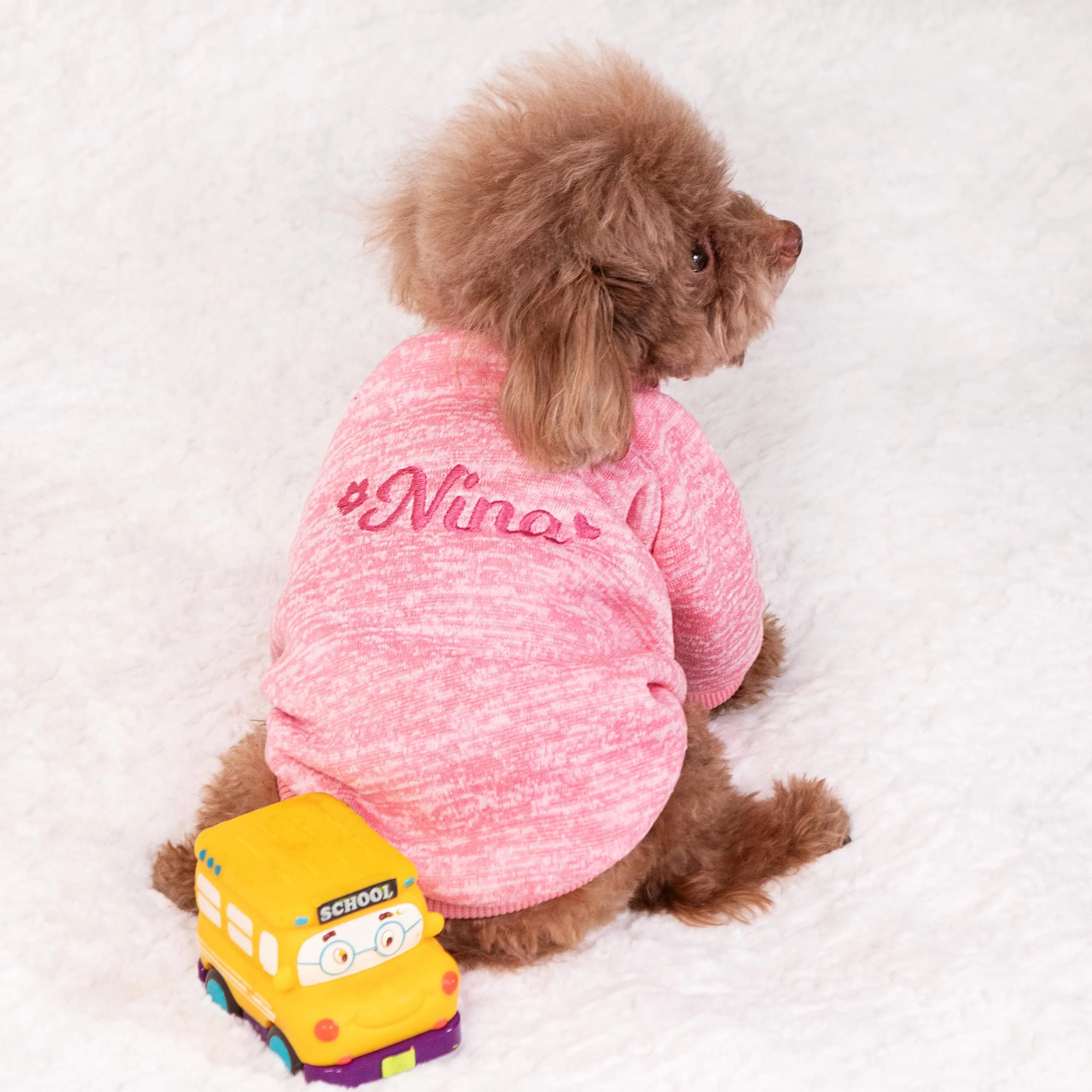 Personalized Embroidery Warm Puppy Hoodie for Comfort & Unique | BKPet296