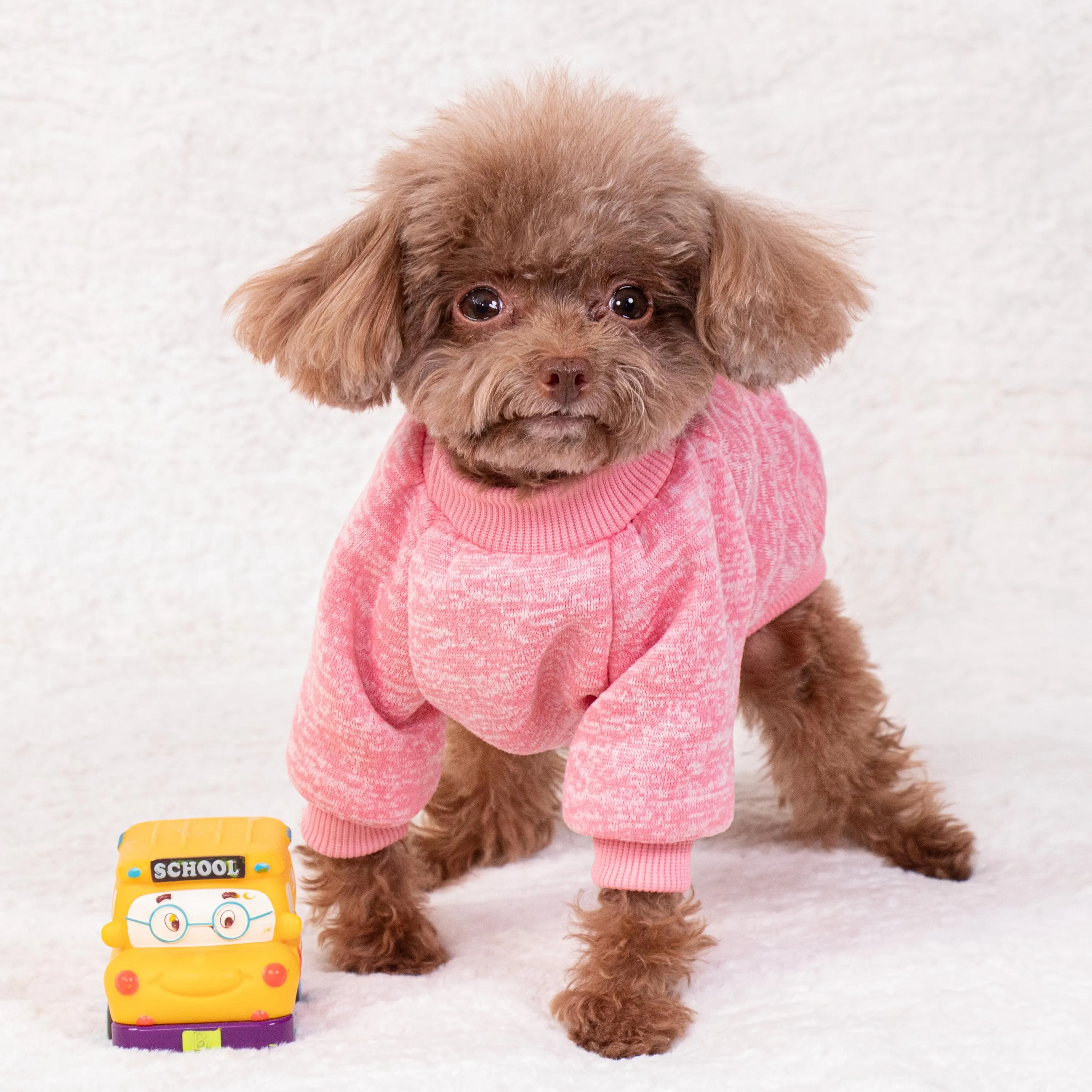 Personalized Embroidery Warm Puppy Hoodie for Comfort & Unique | BKPet296