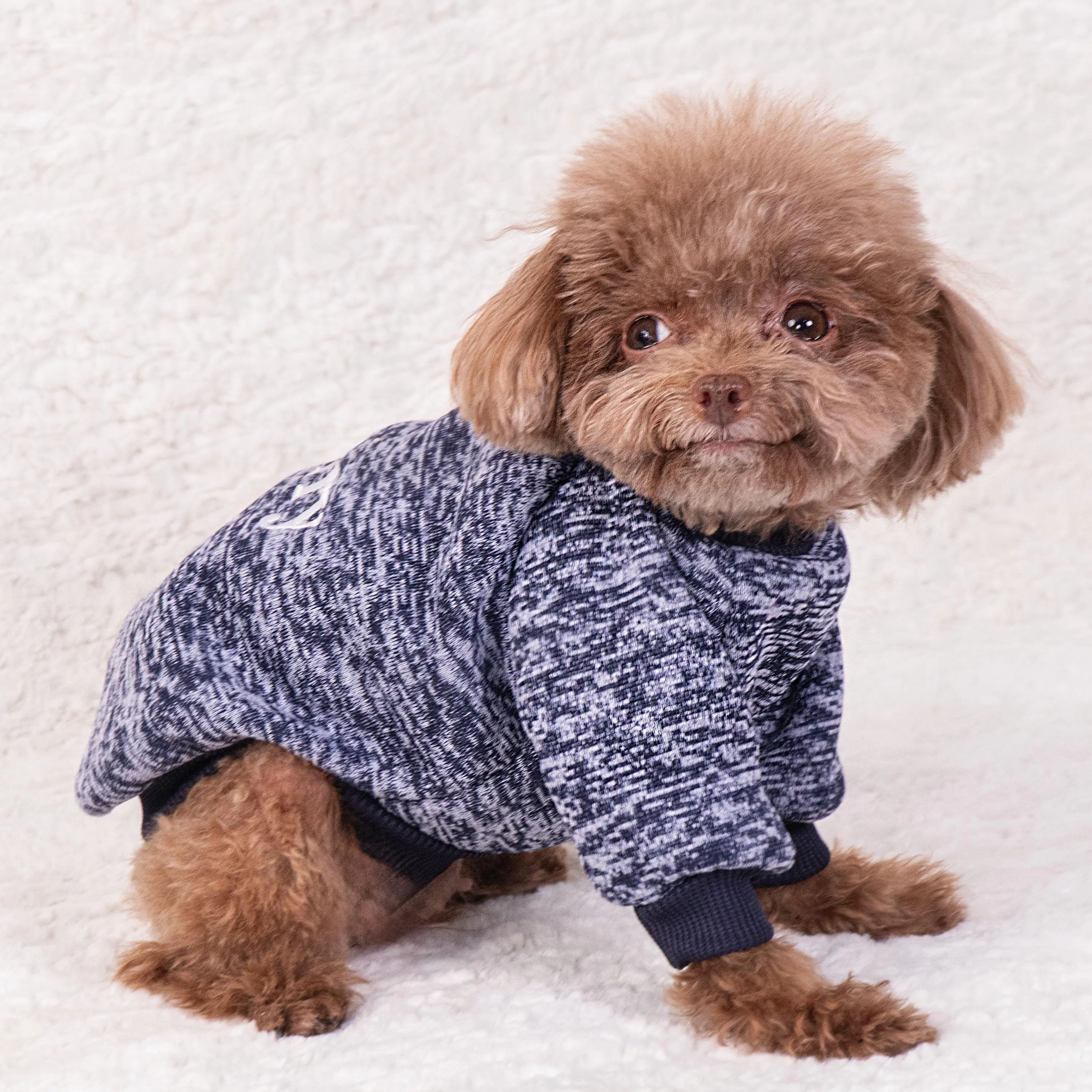 Personalized Embroidery Warm Puppy Hoodie for Comfort & Unique | BKPet296