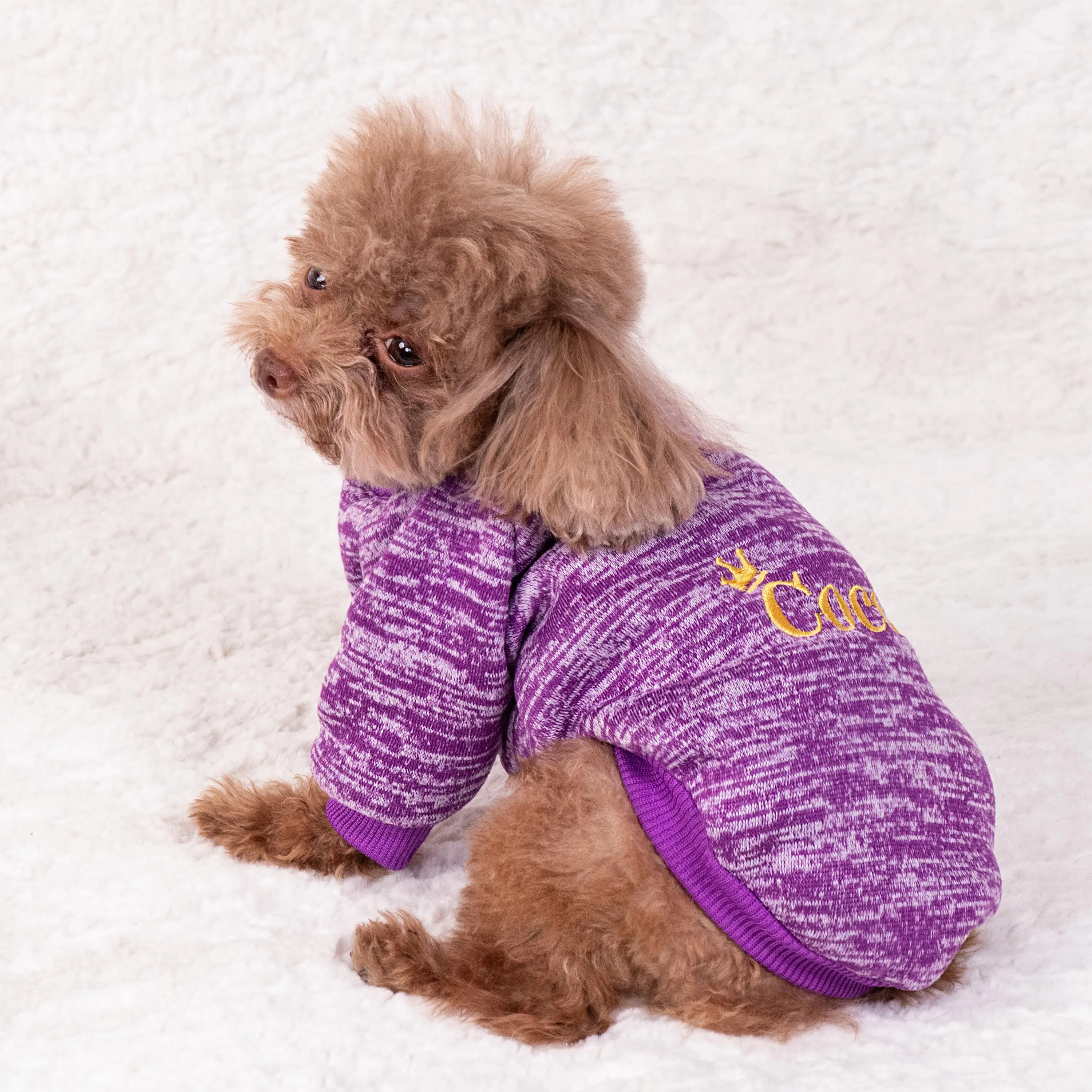 Personalized Embroidery Warm Puppy Hoodie for Comfort & Unique | BKPet296