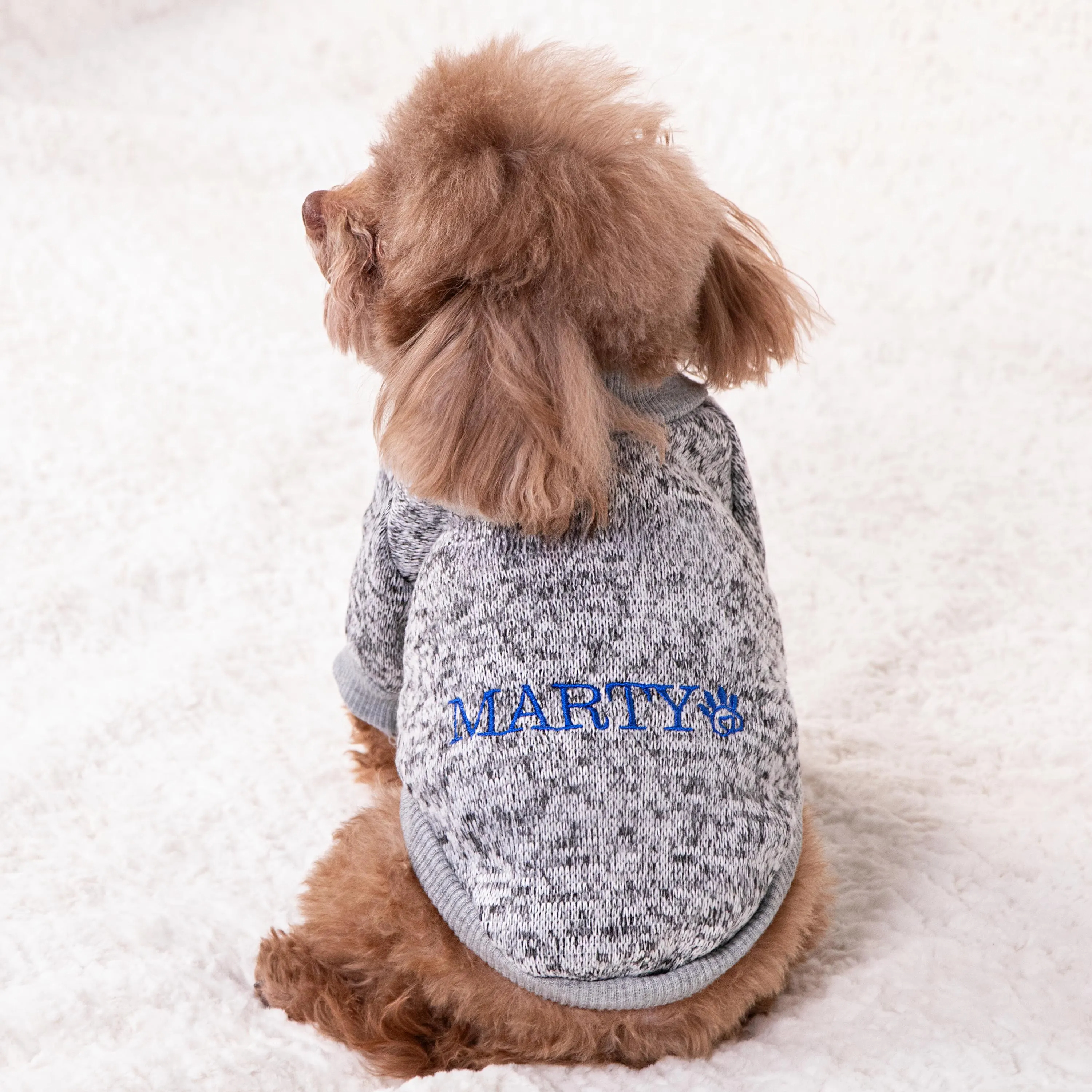 Personalized Embroidery Warm Puppy Hoodie for Comfort & Unique | BKPet296