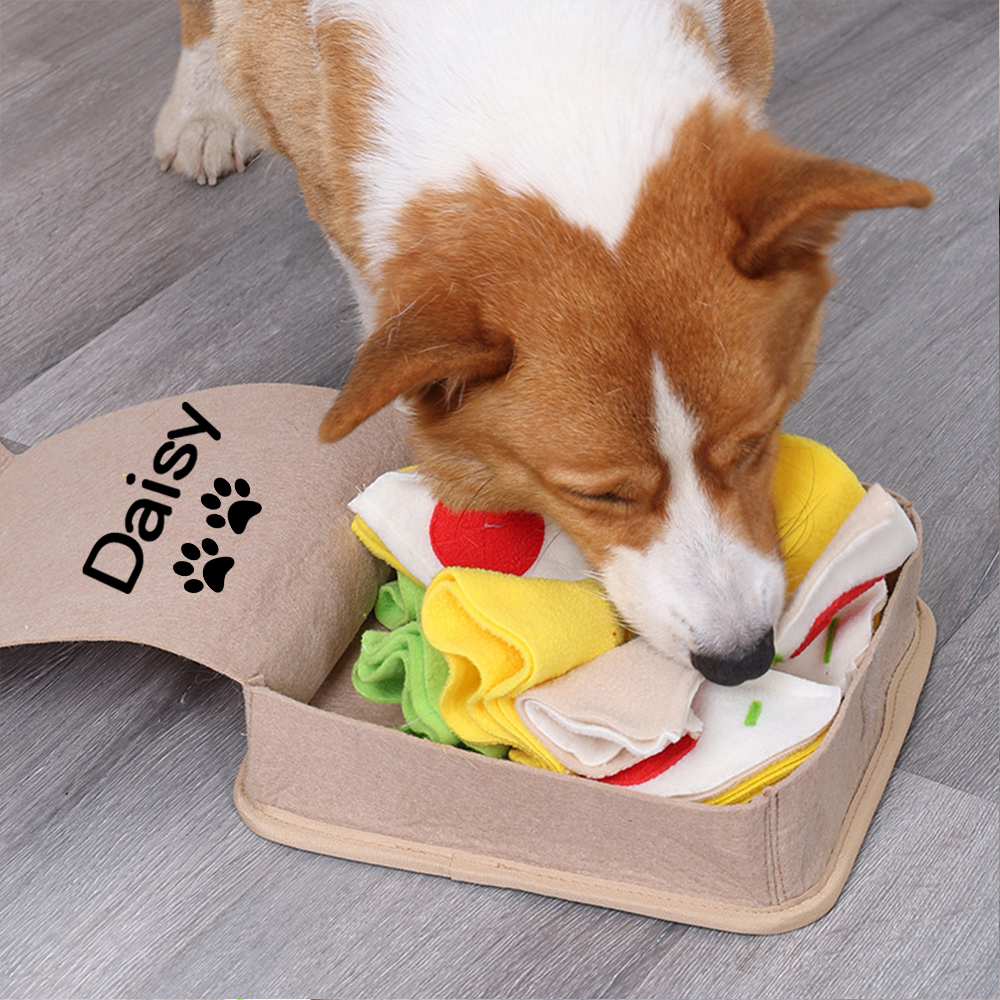 Personalized Pizza Box Pet Toys | BKPet136