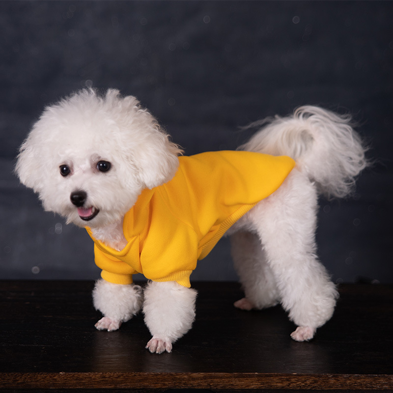 Personalized Warm Puppy Hoodie for Comfort & Unique | BKPet22