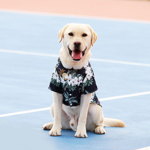 Personalized Leather Patch Hawaiian Pet Shirt | BKPet51