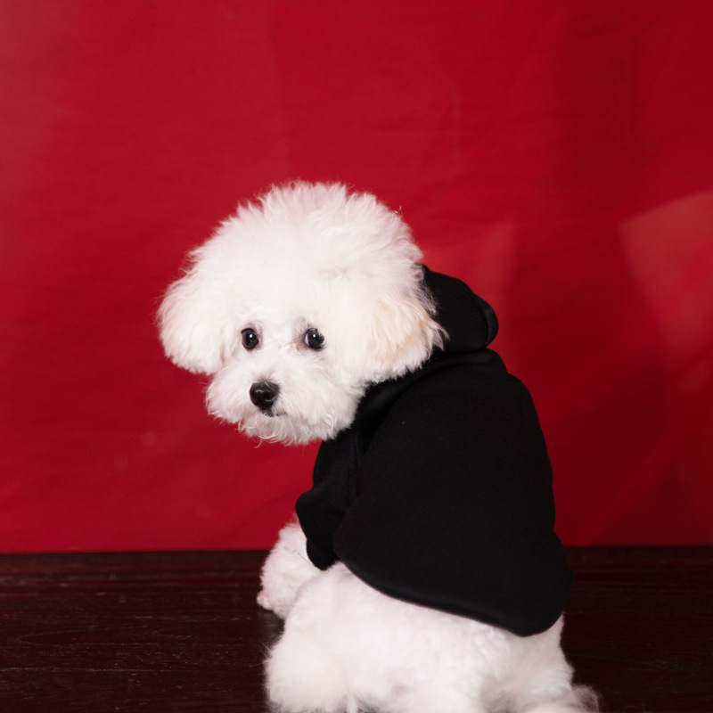 Personalized Warm Puppy Hoodie for Comfort & Unique | BKPet22