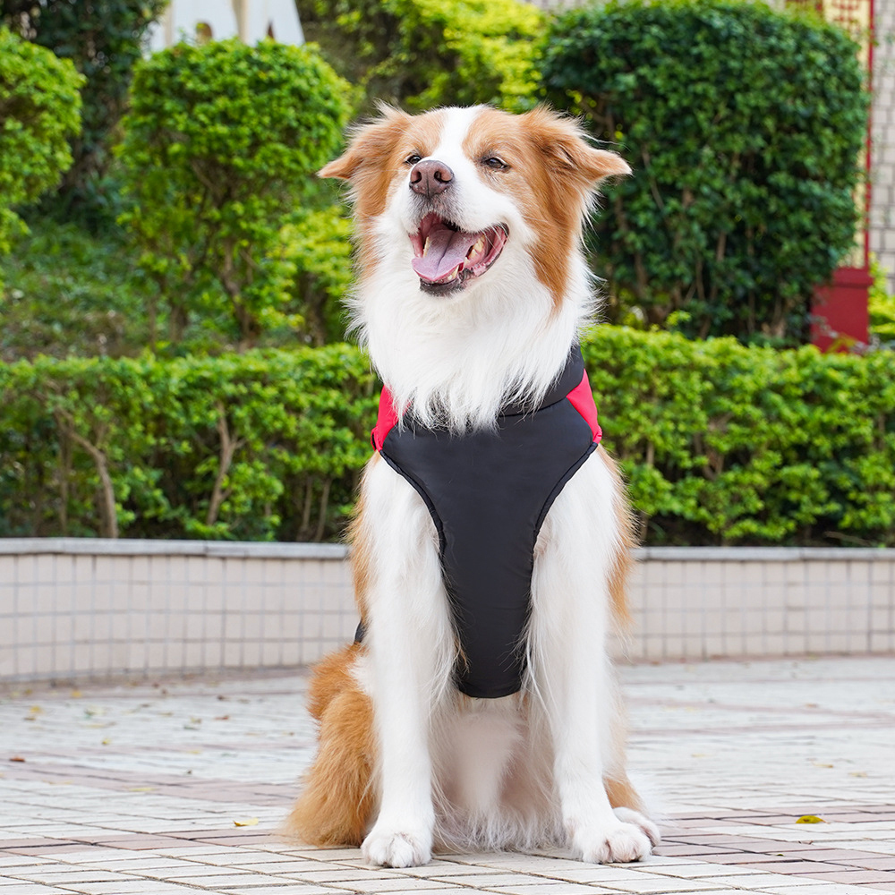 Personalized Pets Warm Puffer Vest | BKPet147