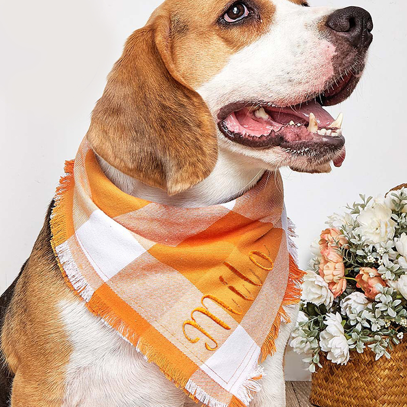 Personalized Autumn Dog Bandana for Comfort & Unique | BKPet19
