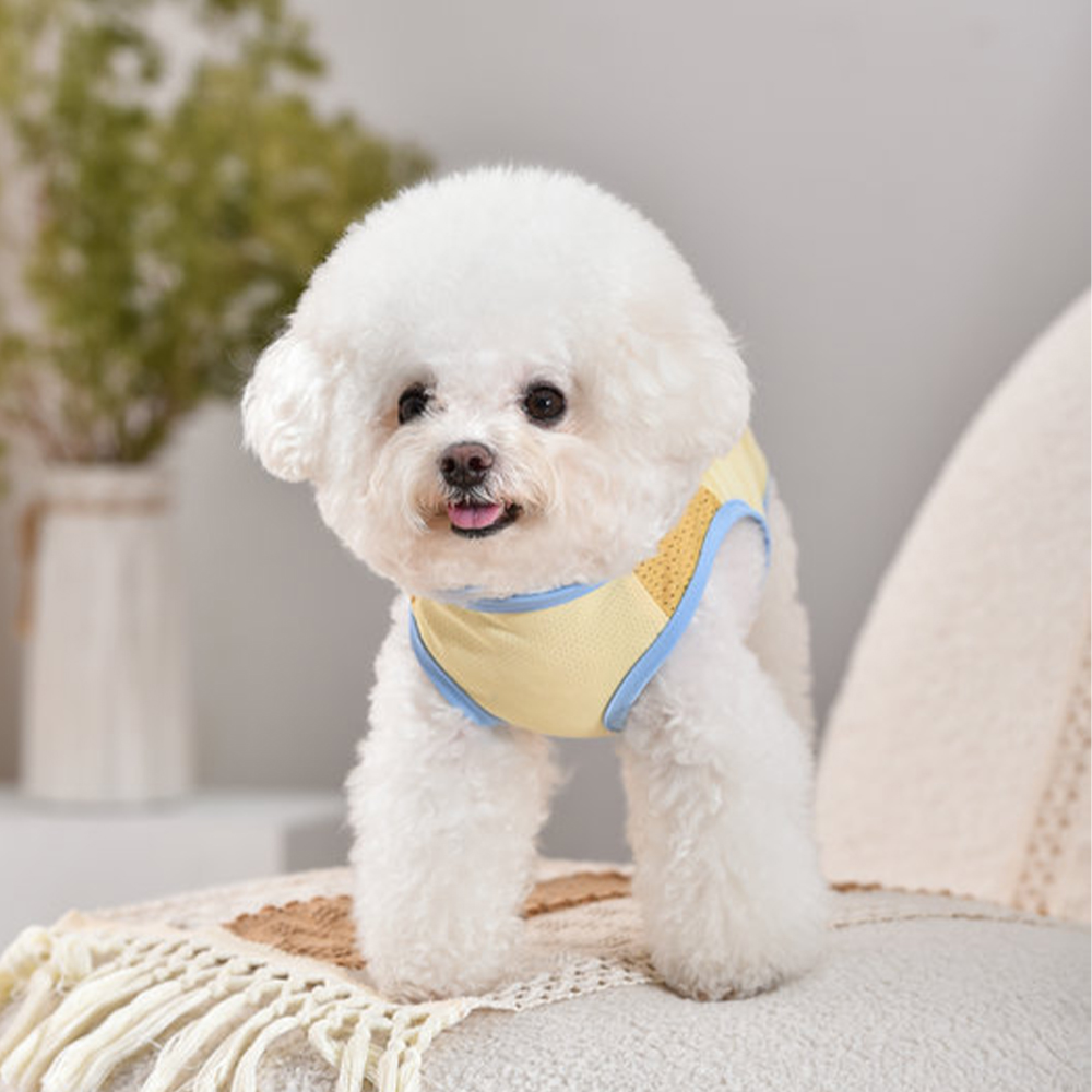 Personalized Pet Stand Collar Summer Cooling Vest For All Breeds | MNCloth238