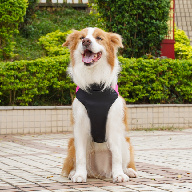 Personalized Pets Warm Puffer Vest | BKPet147