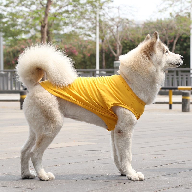 Personalized Soft Puppy Shirt for Comfort & Unique | BKPet50