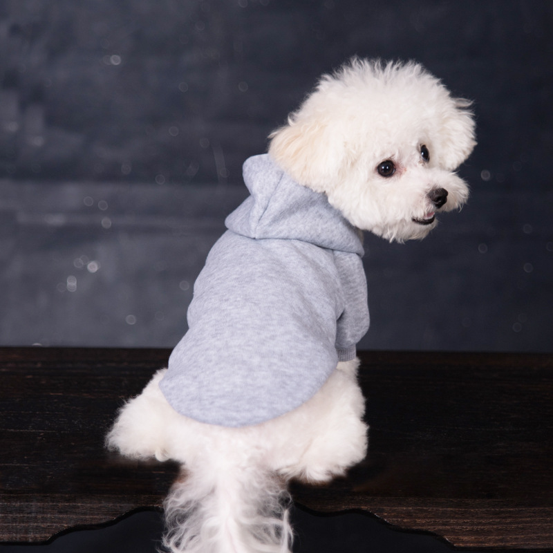 Personalized Warm Puppy Hoodie for Comfort & Unique | BKPet22