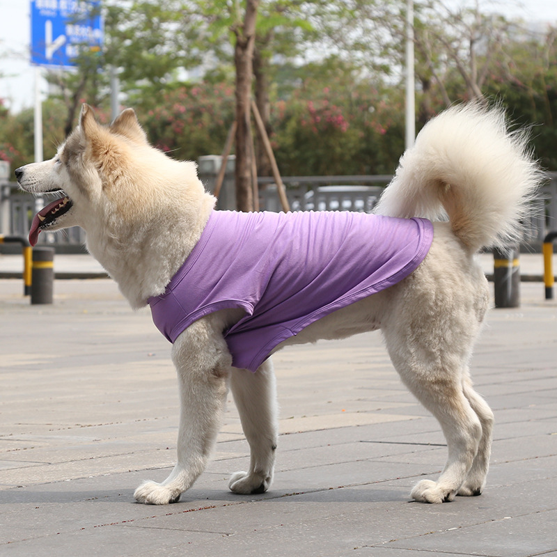 Personalized Soft Puppy Shirt for Comfort & Unique | BKPet50