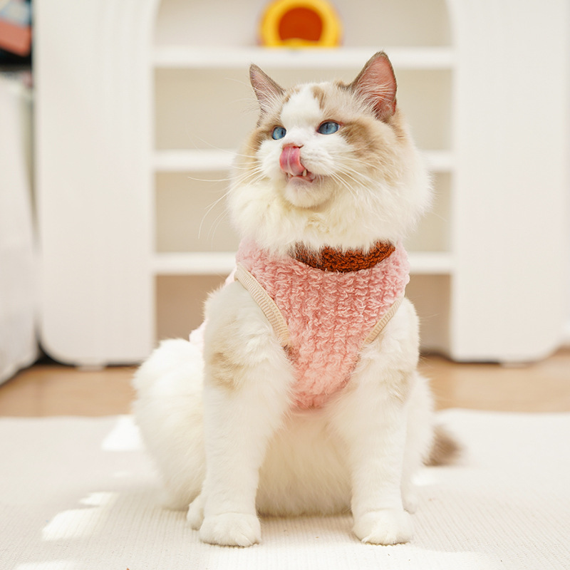 Personalized Pets Leather Patch Lovely Lion Sweater | BKPet252