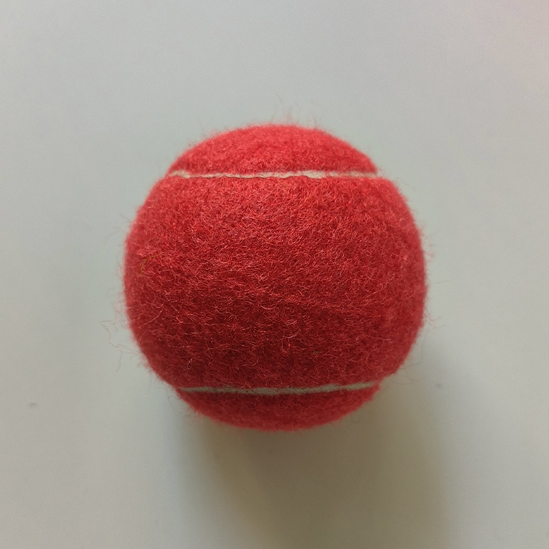 Personalized Pet Tennis Ball Toy | BKPet138