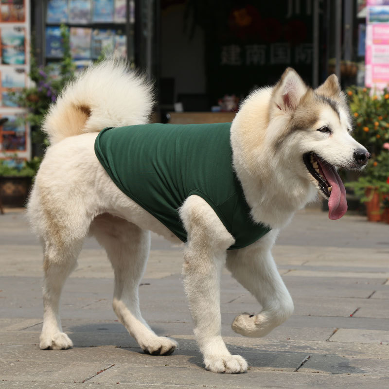 Personalized Soft Puppy Shirt for Comfort & Unique | BKPet50