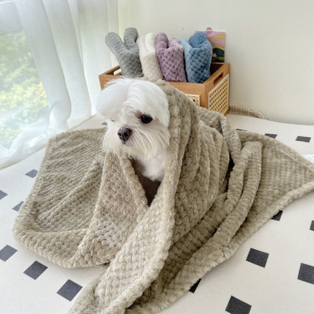 Personalized Warm Pet Blanket for Comfort & Unique | BKPet17