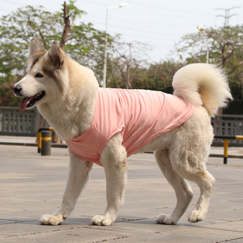 Personalized Soft Puppy Shirt for Comfort & Unique | BKPet50