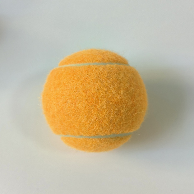 Personalized Pet Tennis Ball Toy | BKPet138