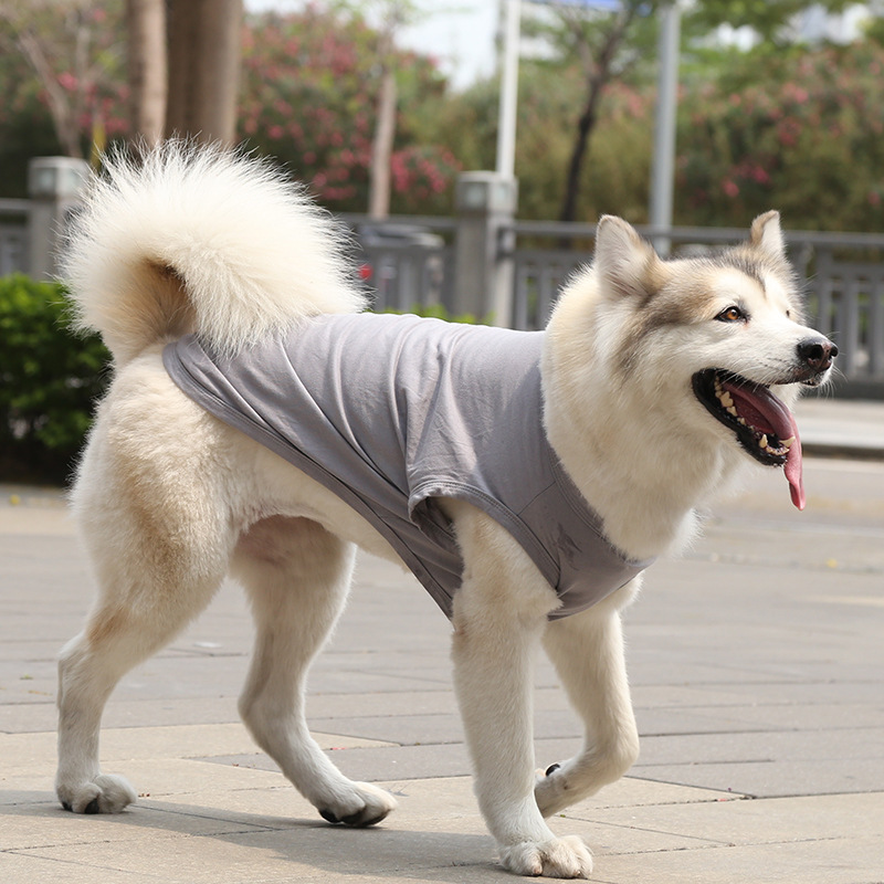 Personalized Soft Puppy Shirt for Comfort & Unique | BKPet50
