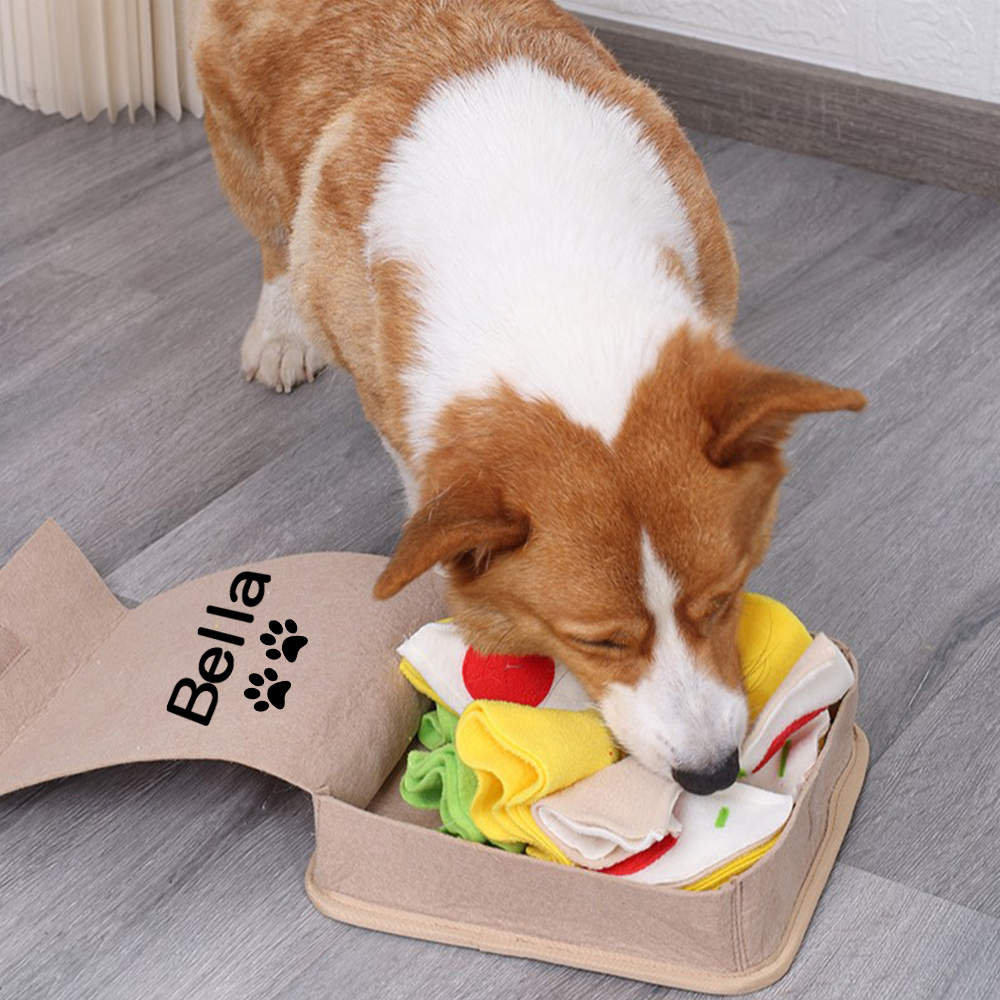 Personalized Pizza Box Pet Toys | BKPet136