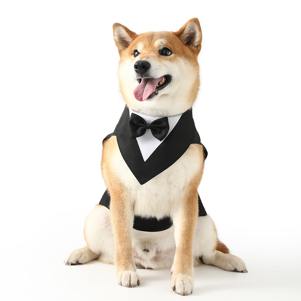 Personalized Pet Gentleman Tail Coat With Bow Collar | BKPet153
